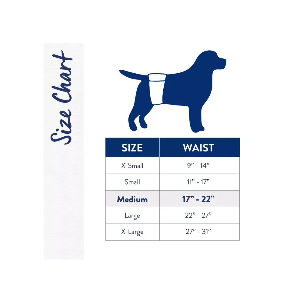 Male Doggie Diaper Disposable Wraps